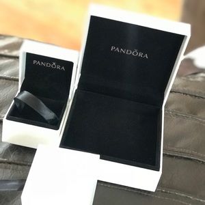 Pandora Charm and Bracelet Box
